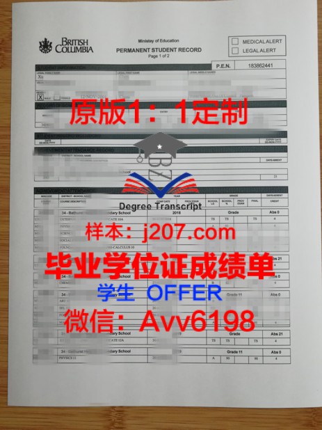 东莞理工学院毕业时间解析:学业规划与未来发展