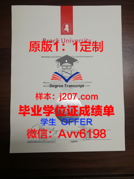 俄罗斯艺术科学院圣彼得堡国立列宾美术学院硕士学位证——艺术殿堂的荣誉证书