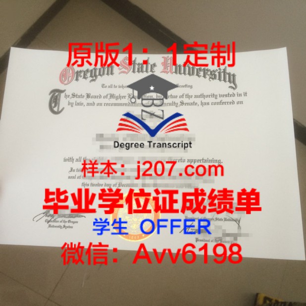 纽约大学本科学位证:开启全球视野,塑造未来精英