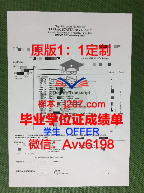 本科证分一本二本吗:解析高等教育中的学历层次划分