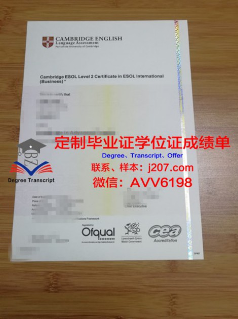 芝加哥大学博士毕业平均收入揭秘:教育投资与回报分析