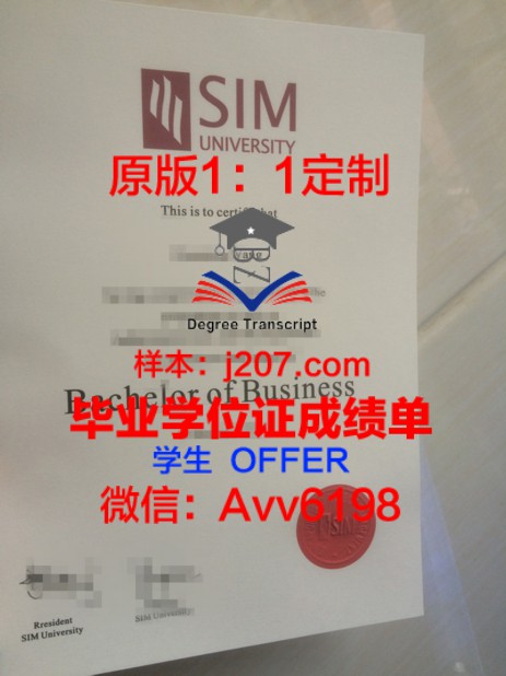 达芬奇经济管理学院博士学位证:开启国际化管理视野的金钥匙