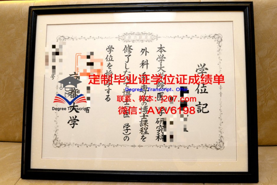 山口U成绩单:揭示学生成长轨迹的神奇之物