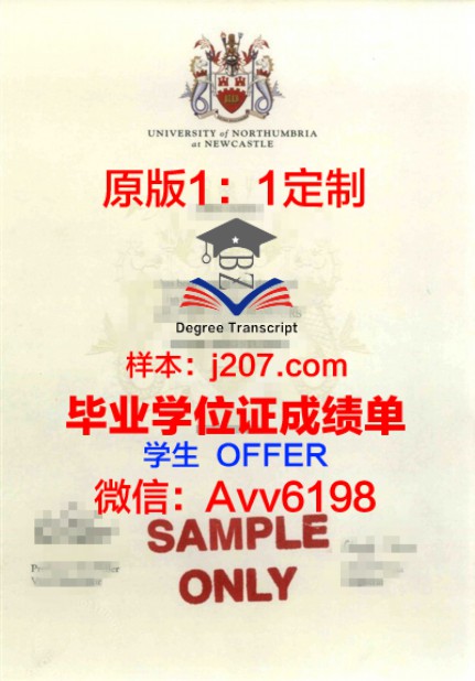 美国Master学位:通往专业领域的桥梁
