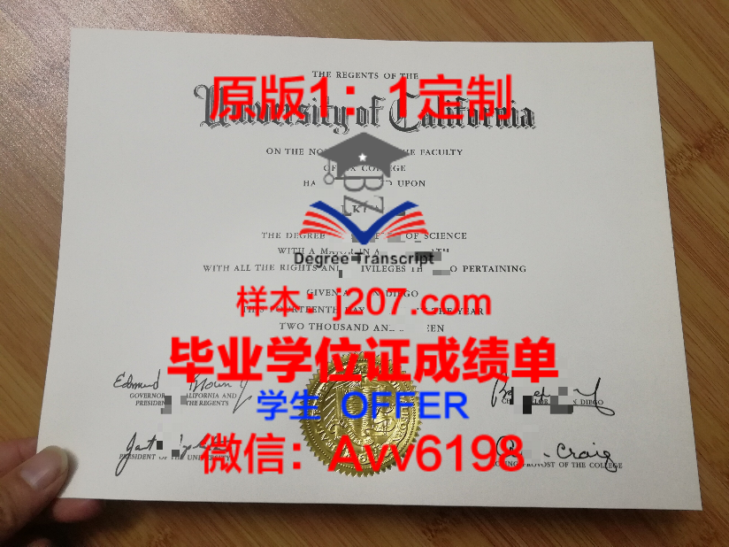 Manila YD学位证:跨越国界的学术荣耀