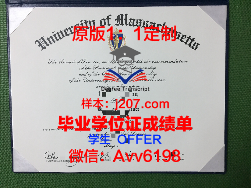 OU学位证定制:专业、严谨、独具匠心