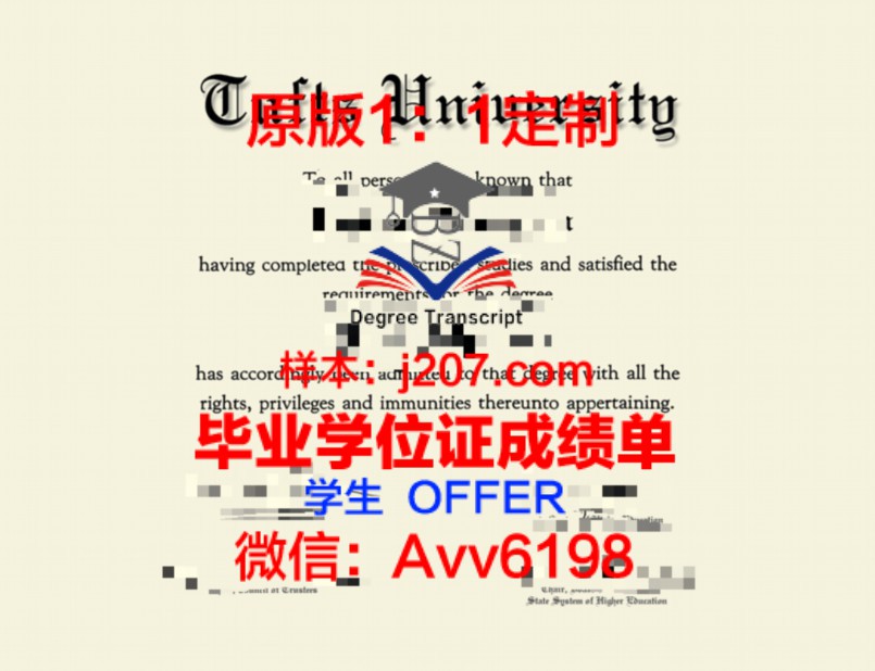 国立技大学位成绩单定制:助力学子未来发展