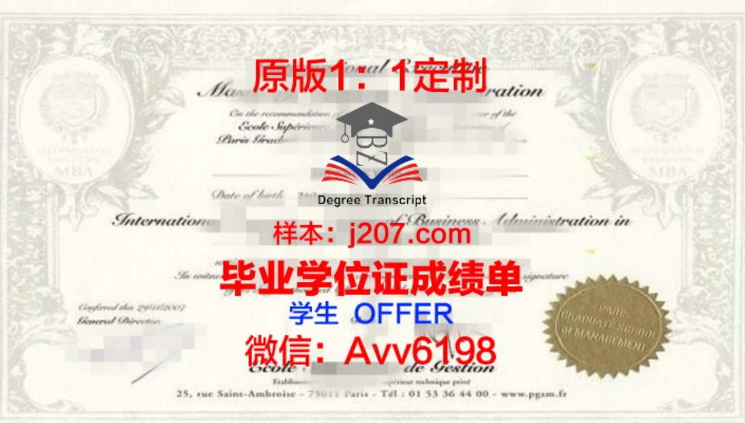 布尔日国立高等美术学院博士学位证:一份跨越国界的艺术荣誉