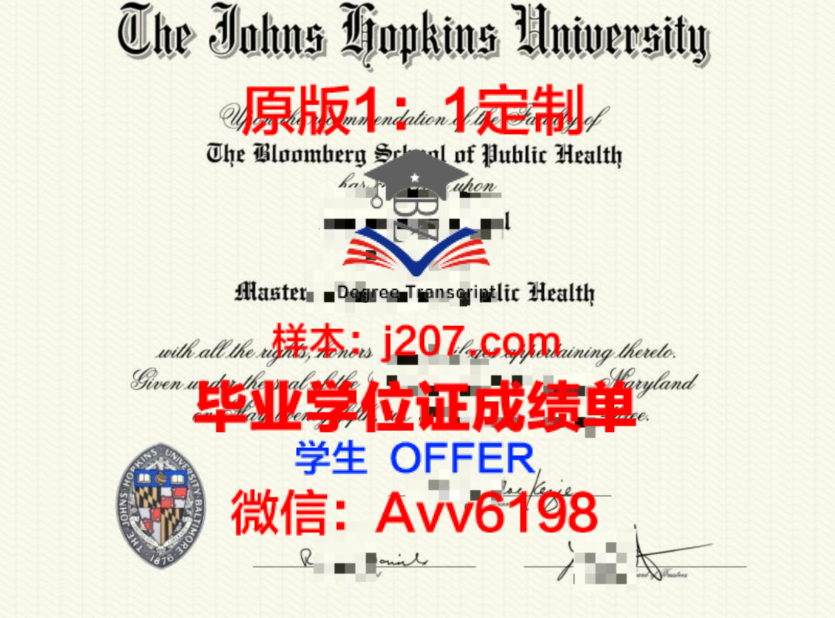 硕士不毕业能读博吗?——女生视角下的可能性与挑战