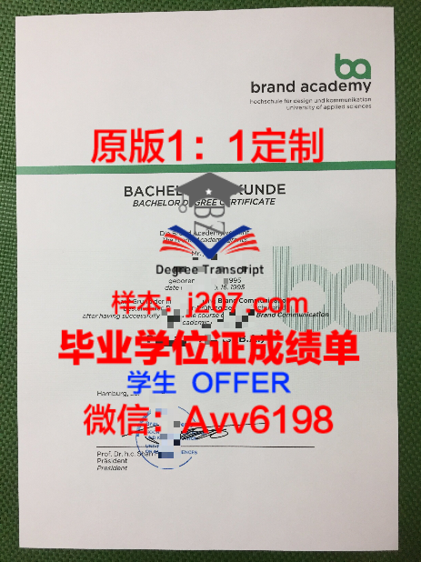 科希策工业大学硕士毕业证:开启国际职场新篇章的钥匙