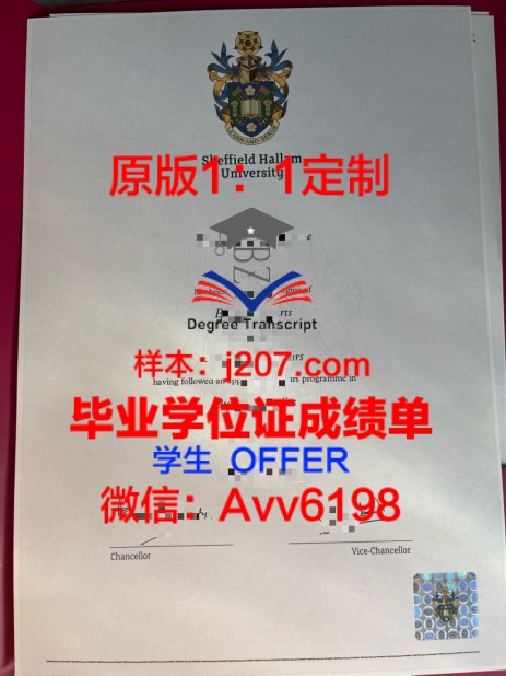 巴黎路桥毕业证定制:承载荣誉与回忆的艺术品
