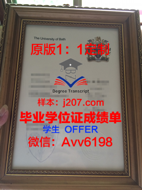 青山制图专门学校本科学位证:一张承载梦想与荣誉的证书