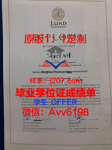 乌普萨拉市:探寻瑞典东部的地理瑰宝