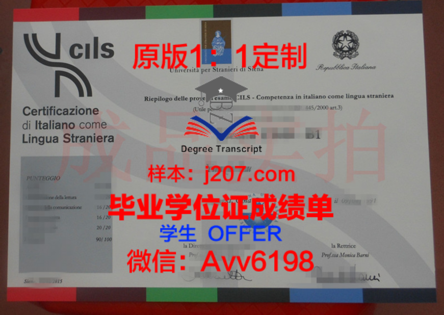 埃默里博士毕业证:承载荣誉与梦想的证书