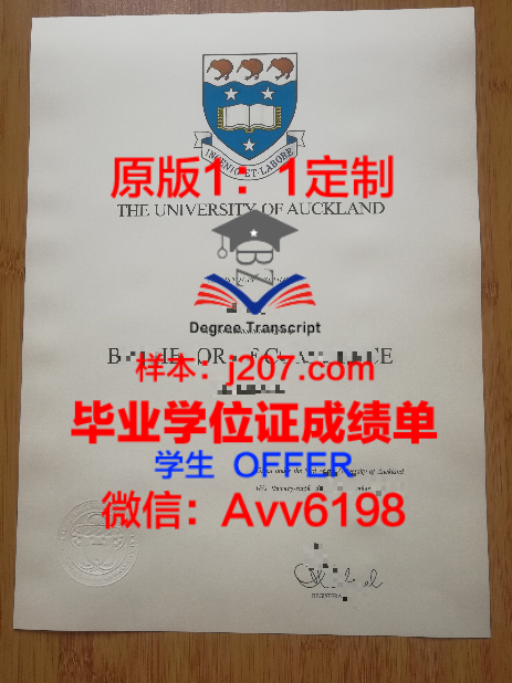 巴黎第十一大学学位证定制:彰显学术荣誉的专属证书