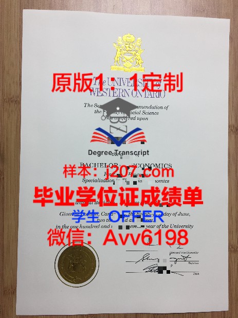 北国本科毕业证:一份承载梦想与希望的证书