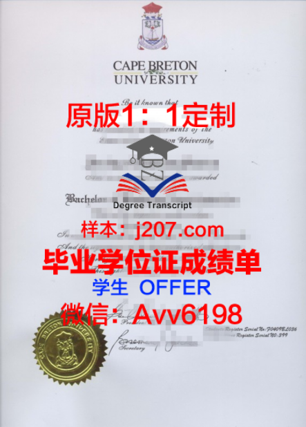 芝浦工业大学毕业证成绩单:一份见证成长与荣耀的证书