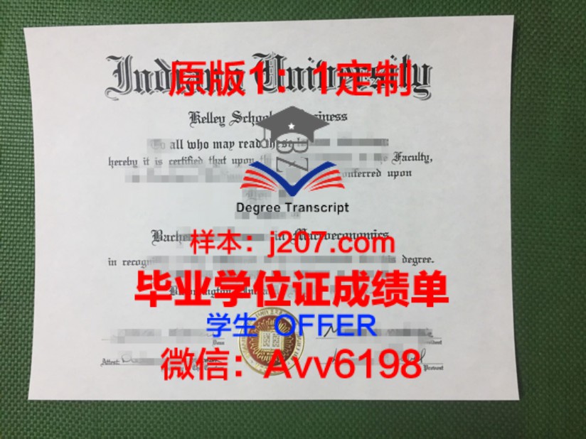 马里乌波尔国立大学学位成绩单定制：探讨学术诚信与教育公平