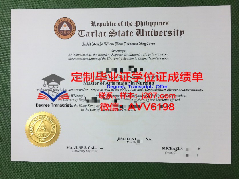 威尼斯东方大学学位成绩单定制:揭秘背后的真相与意义