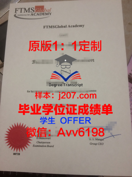 南斯大学位文凭定制:探索教育领域的创新模式