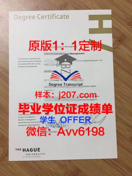 南部浸会神学院学位证定制:传承信仰,彰显尊荣
