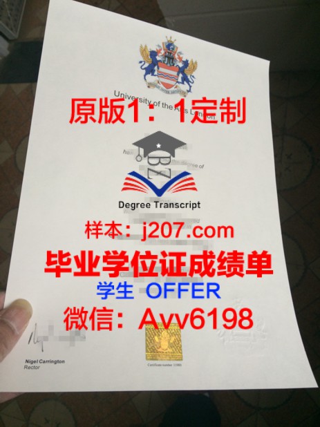 十几个博士学位的人:智慧的光芒