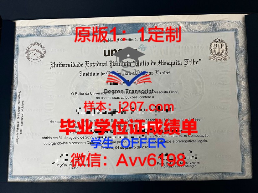 学位博士:学术研究之路的巅峰