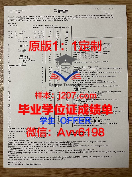 量身定制，开启你的伊朗沙希德·贝赫什蒂大学求学之旅——解析录取通知书OFFER定制