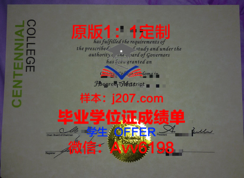 NFDU学位文凭定制:个性化教育的新篇章