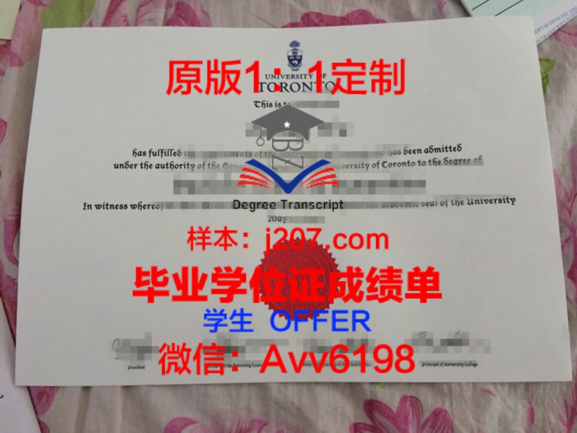 Antwerp Uni博士学位证:学术成就的巅峰见证