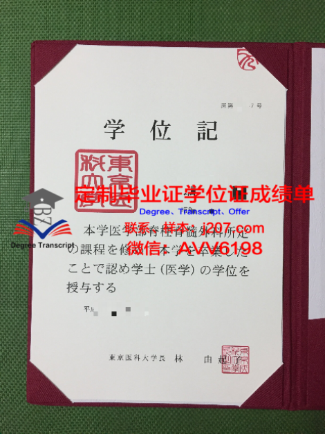 本科毕业证书找不到了:一场意外的“失而复得”之旅