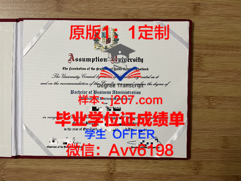 巴黎文大学位证:跨越时空的学术荣耀