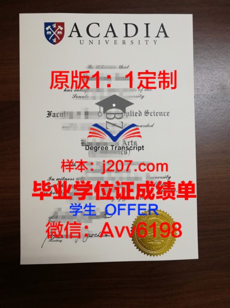 济南大学的博士之路：砥砺前行，铸就辉煌