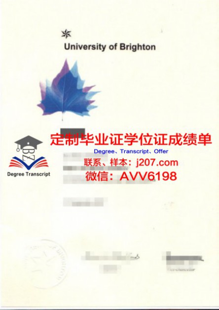 俄罗斯科学院西伯利亚分院考古与民族学研究所学生卡(俄罗斯东西伯利亚国立科技与管理大学)