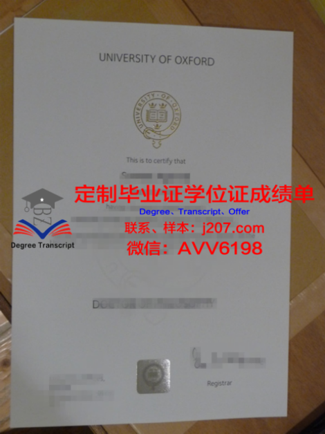 俄罗斯科学院国家与法研究所硕士毕业证书样本(俄罗斯法律研究中心)