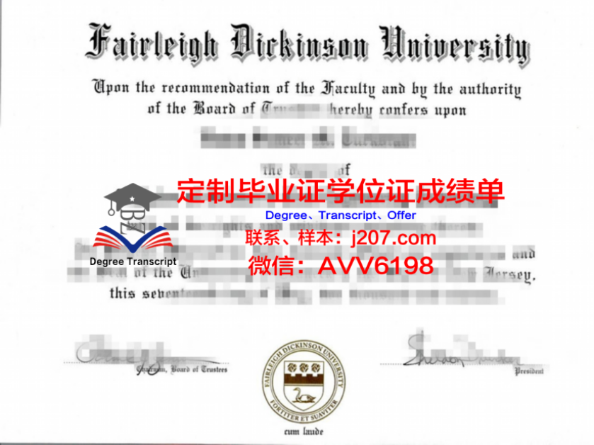 俄罗斯教育科学院教育管理研究所硕士毕业证:跨越国界的学术成就