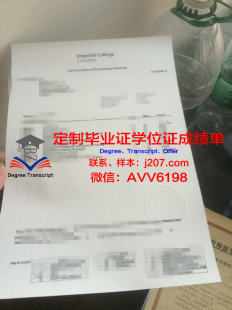 俄罗斯科学院应用物理研究所本科毕业证:跨越国界的学术荣耀