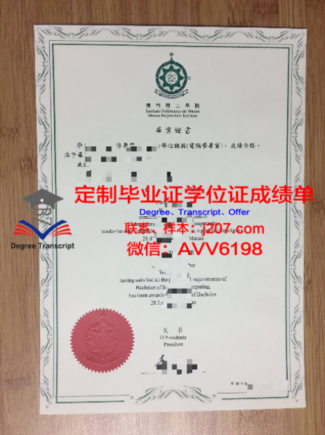 俄罗斯硕士毕业证:开启国际视野的通行证