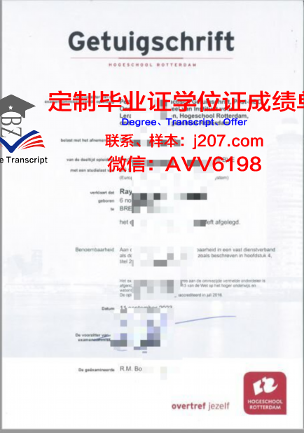 图卢兹高等商学院毕业证样式(图卢兹高等商学院官网)