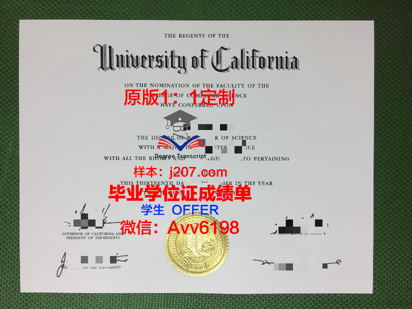 国际大学毕业证是什么模样(国际毕业证有用吗)