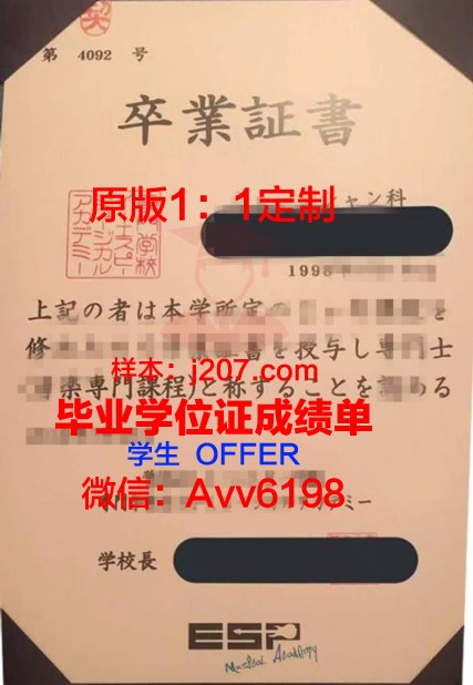 国际观光专门学校滨松校区毕业证定制:匠心独具,彰显品质