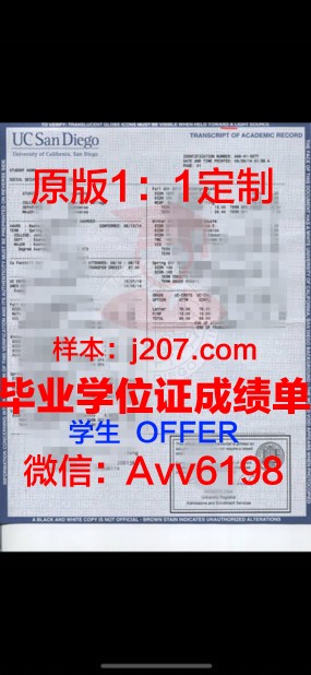 图卢兹第一大学成绩单:探索学术成就的瑰宝