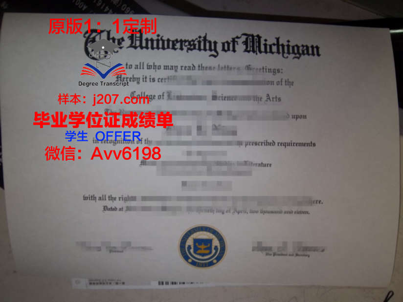 国际伯奇大学本科毕业证:开启全球视野的钥匙