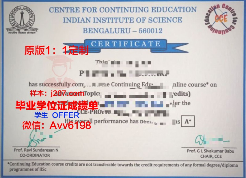 图卢兹国立应用科学学院diploma证书(图卢兹国立应用科学学院排名)