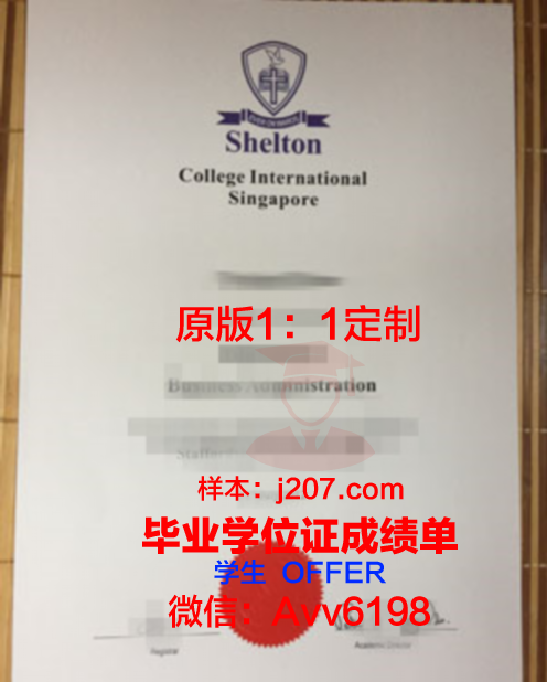 图卢兹高等商学院毕业证样式(图卢兹高等商学院官网)