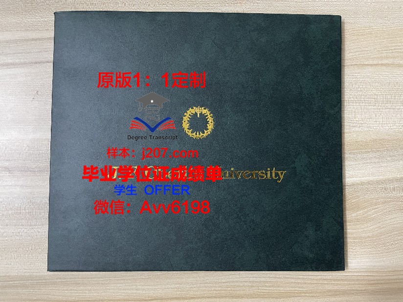 图卢兹第一大学毕业证样式(图卢兹第一大学经济学院)