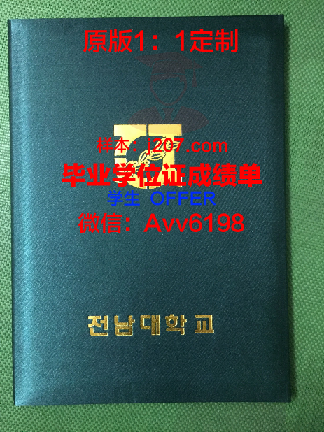 国际信息处理科学学院毕业证壳子(国际信息工程学院)