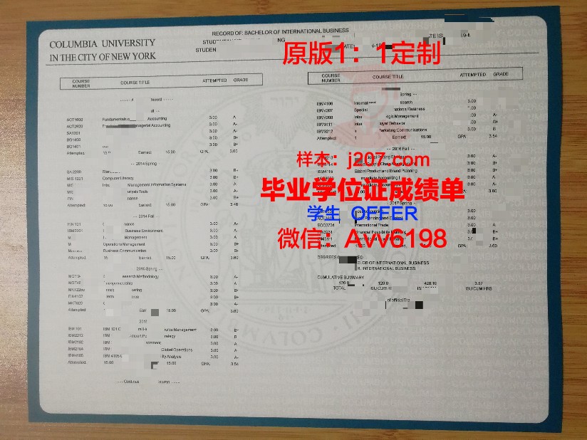 国际伯奇大学证书成绩单