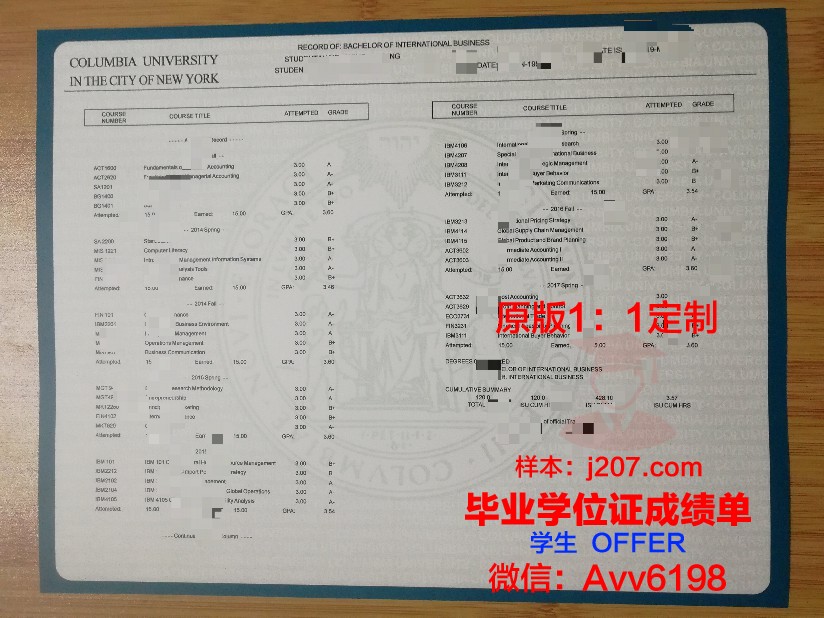 图卢兹第一大学成绩单：探索学术成就的瑰宝