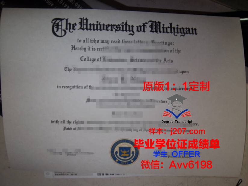 图卢兹政治学院本科毕业证:一份通往未来的通行证